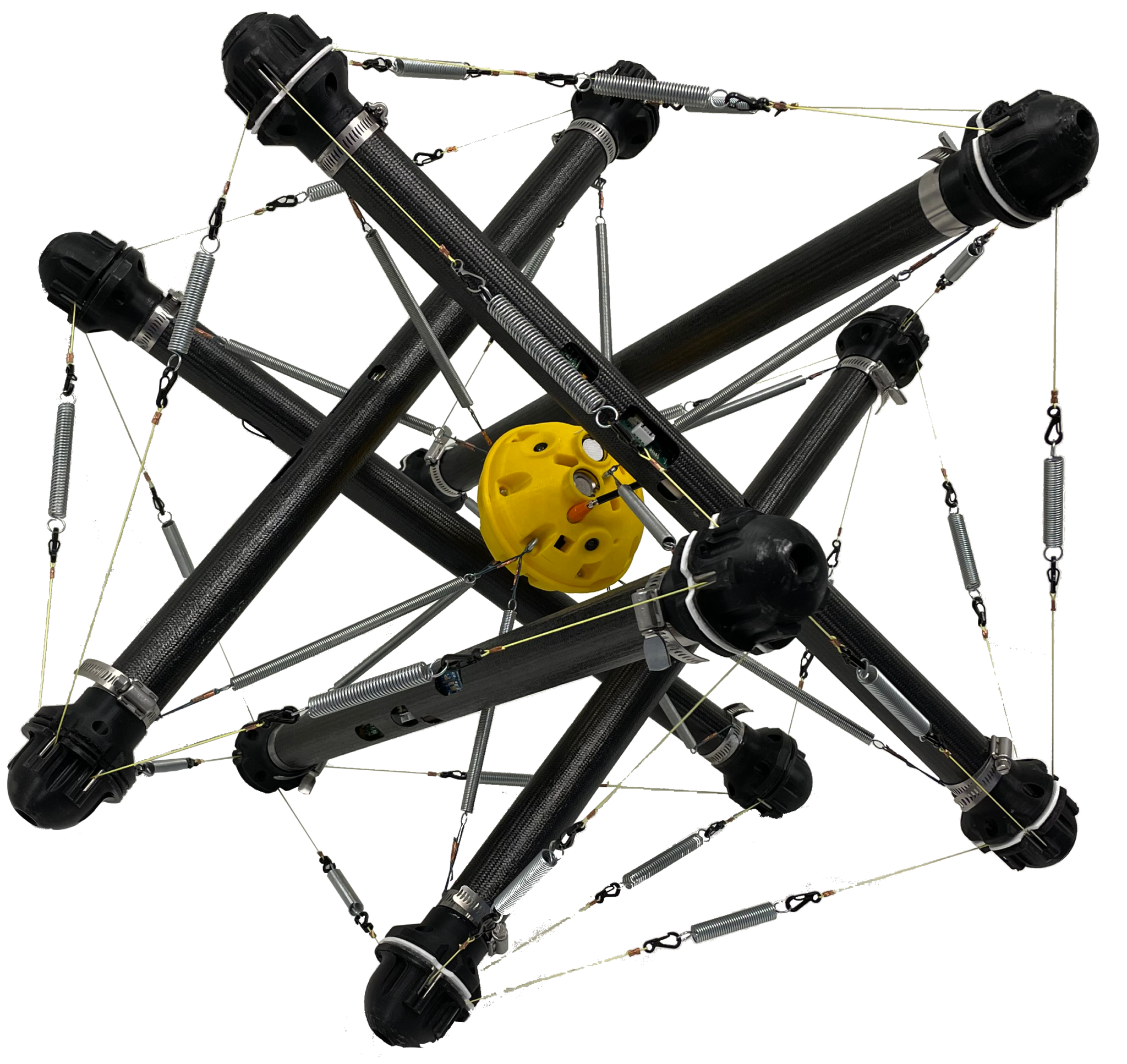 Customized Development – Squishy Robotics